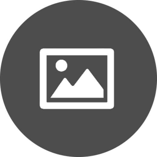 swis-icon-google-images.png